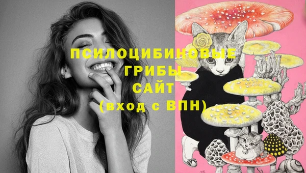 скорость Алексеевка