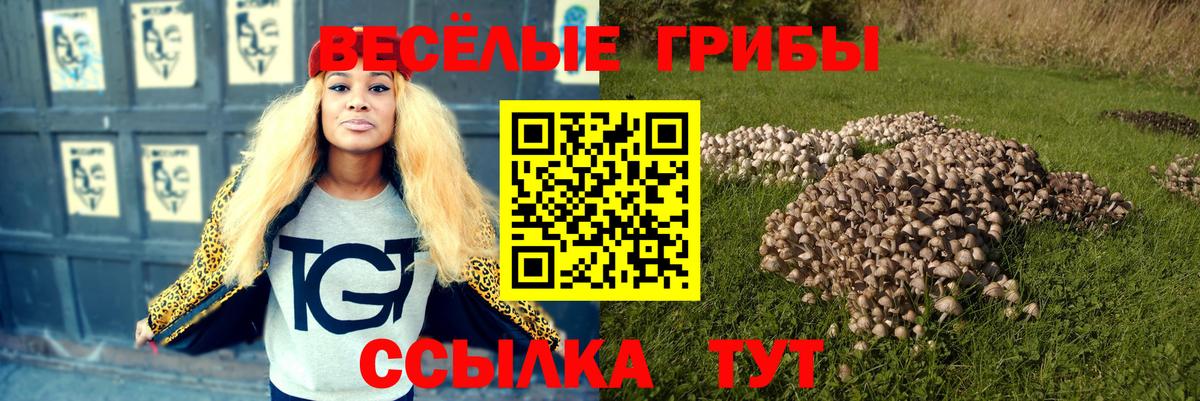 Псилоцибиновые грибы Psilocybe Слободской