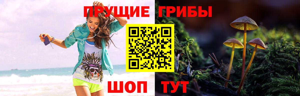 Слободской  Галлюциногенные грибы мицелий  Псилоцибиновые грибы Magic Shrooms  Вход с VPN 