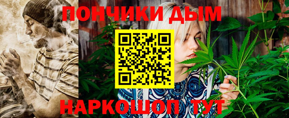 Конопля сатива Слободской